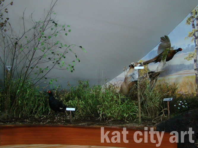 Zdjęcie: diorama.jpg