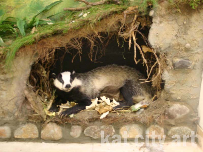 Zdjęcie: kolbudy3.jpg