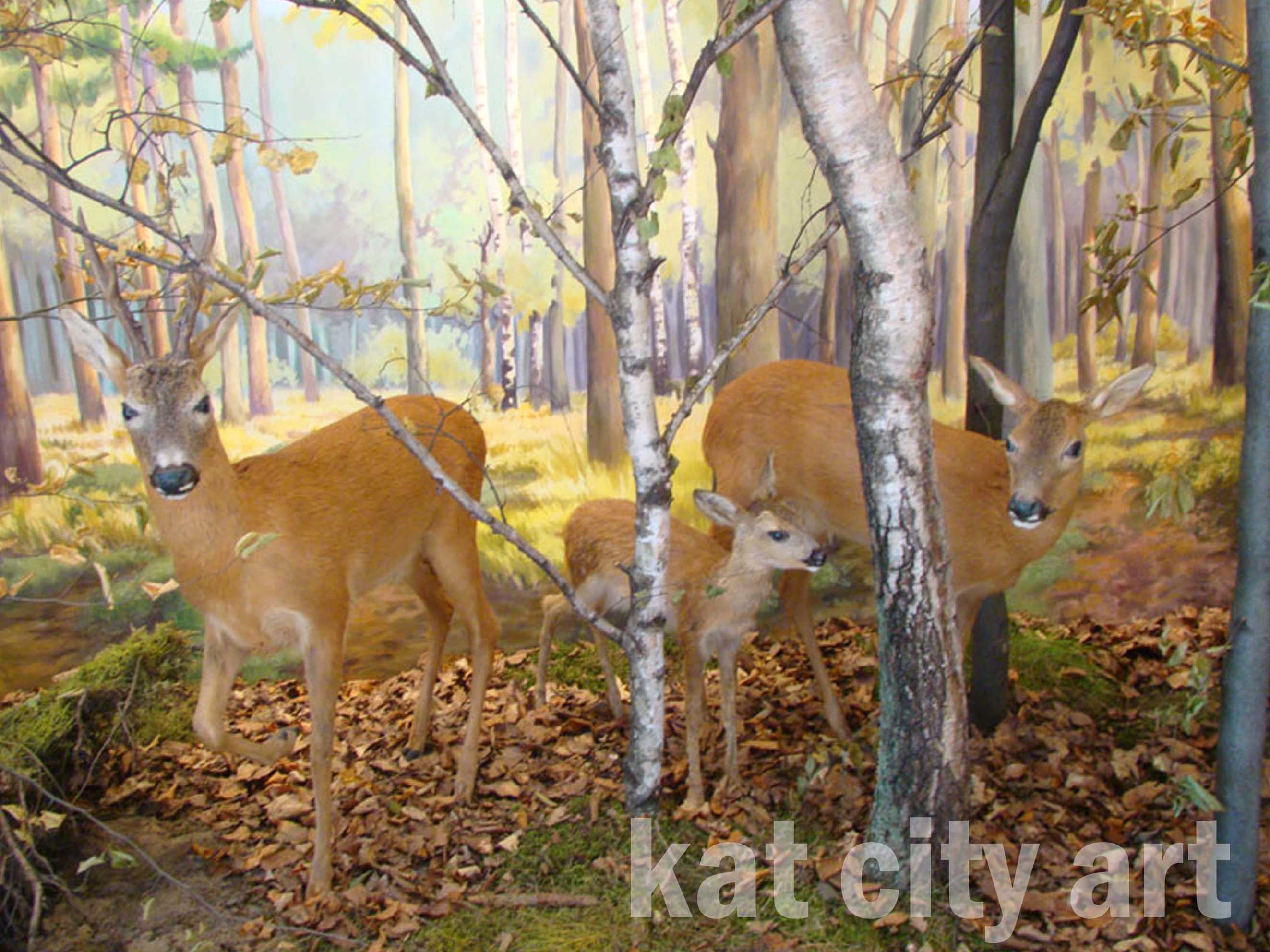 Zdjęcie: niepolomice3.jpg