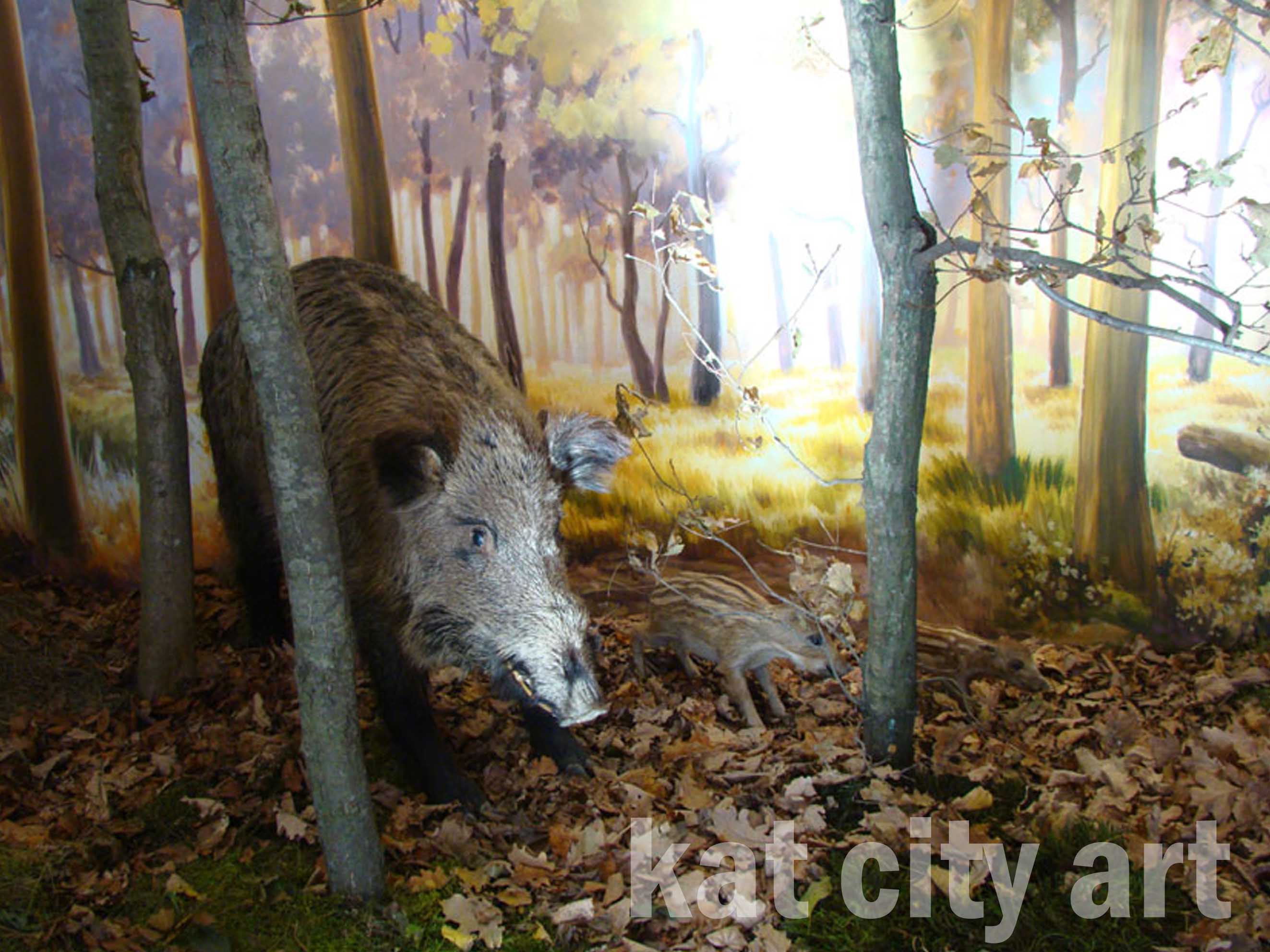 Zdjęcie: niepolomice4.jpg