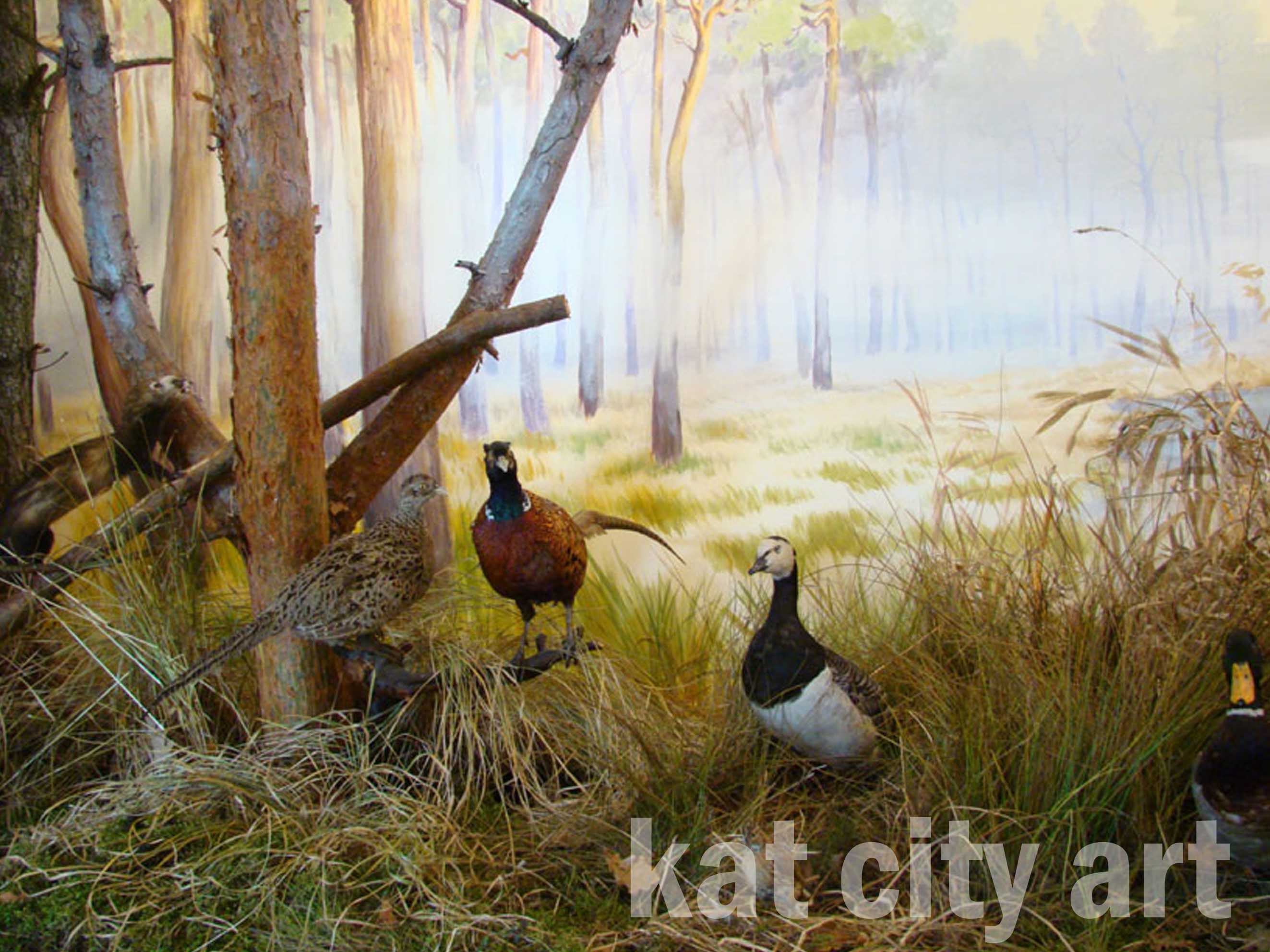 Zdjęcie: niepolomice5.jpg