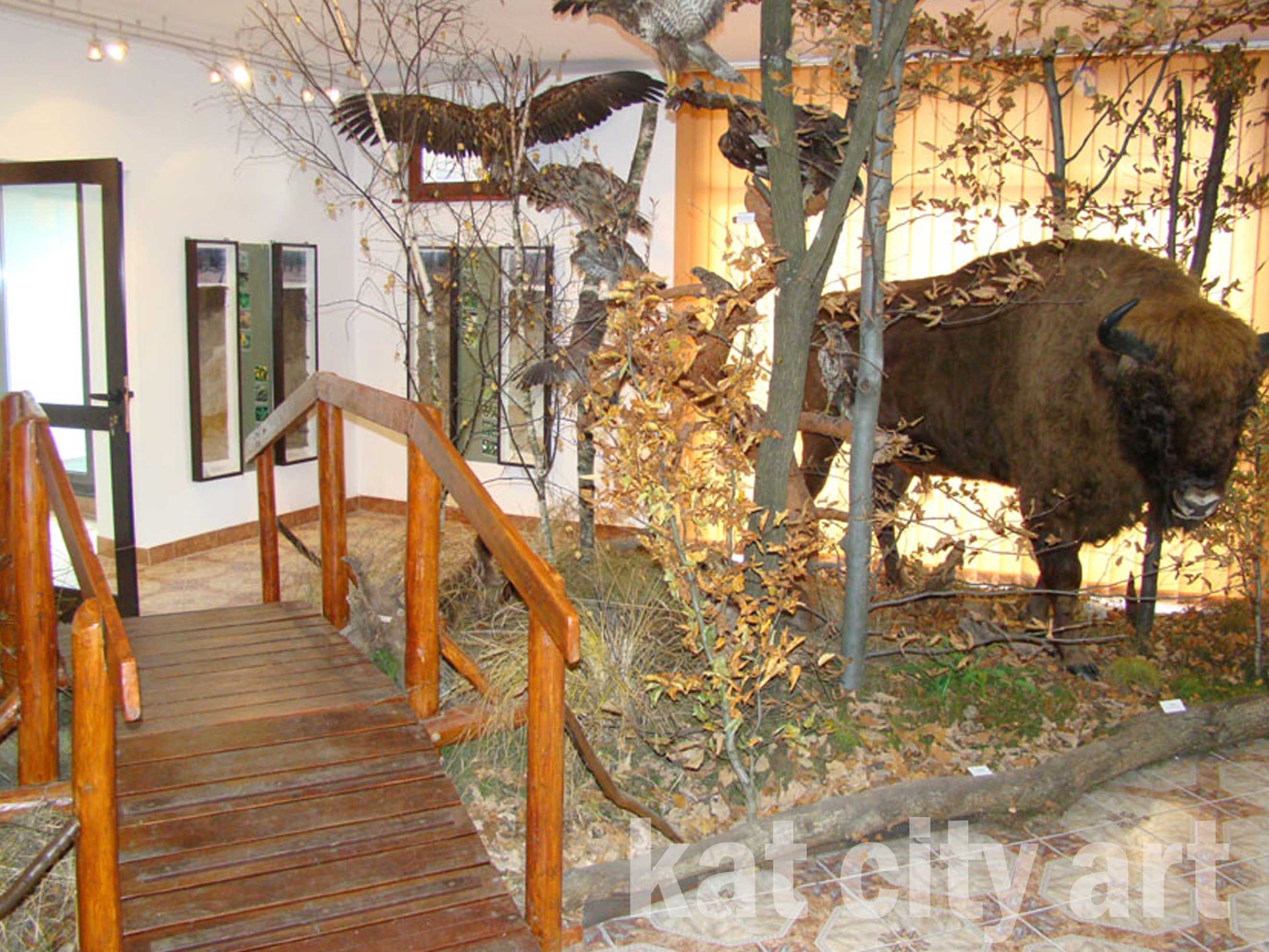 Zdjęcie: niepolomice7.jpg